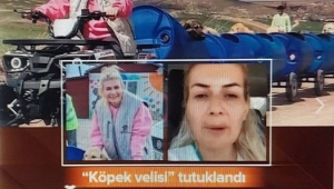 Sözde hayvansever, bağış paralarıyla servet kazandı... Estetik yaptırdı at yarışı oynadı 